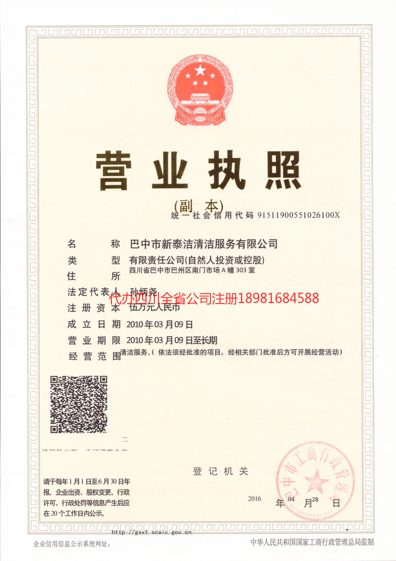 大安大安新泰洁清洁服务有限公司