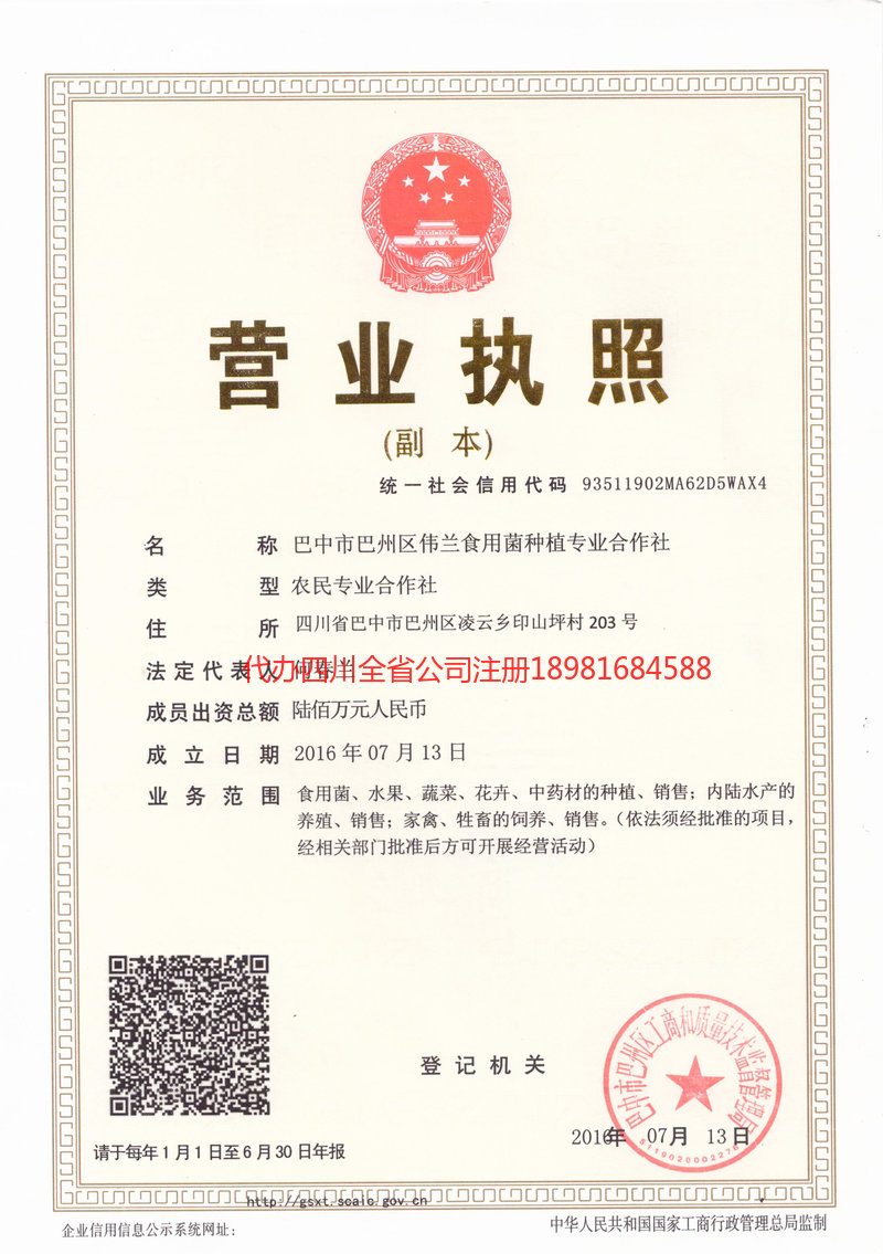 大安大安伟兰食用菌种植专业合作社