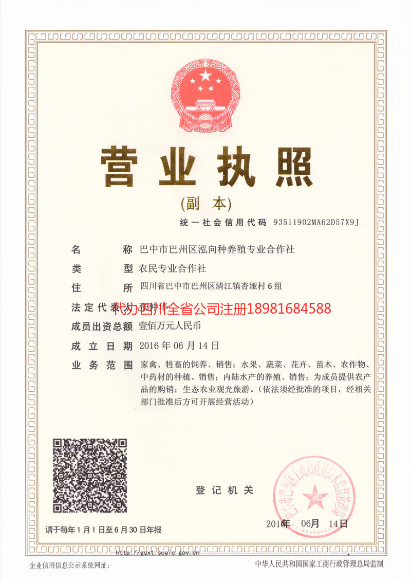 大安大安泓向种养殖专业合作社