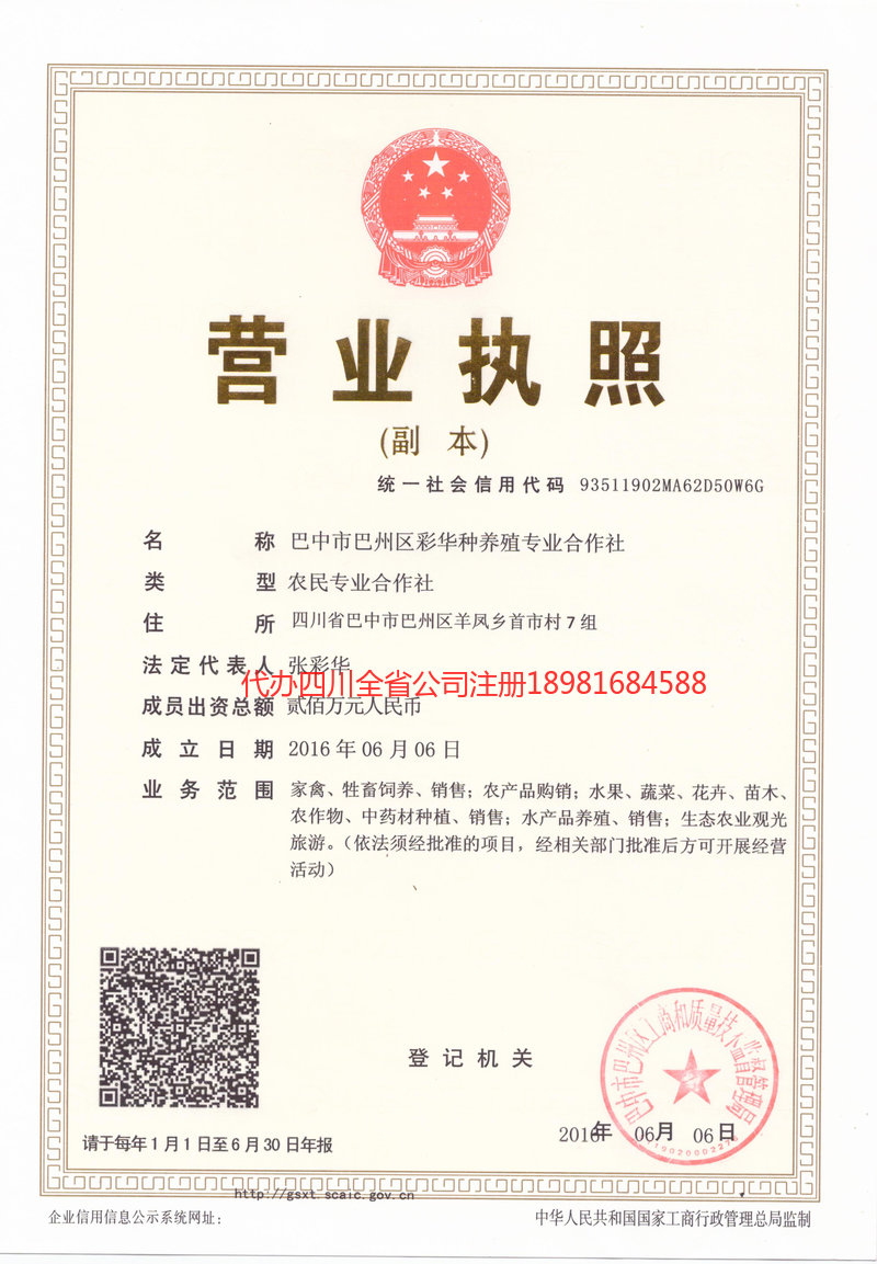 大安大安彩华种养殖专业合作社